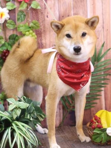 20230813シュウくん